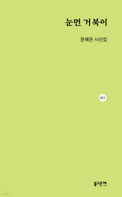 눈먼 거북이
