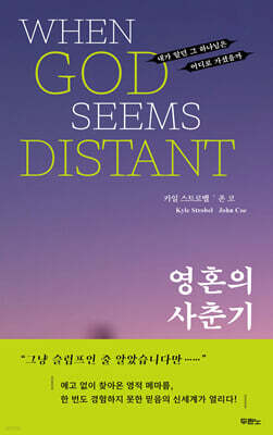 영혼의 사춘기