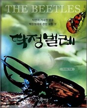 딱정벌레