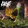 Grave - Into The Grave (수입)