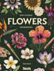 How to Draw Flowers