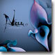 넬 (Nell) 2집 - Walk Through Me