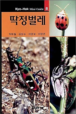 딱정벌레