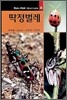 딱정벌레