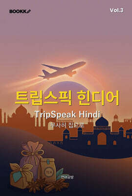 트립스픽 힌디어 3