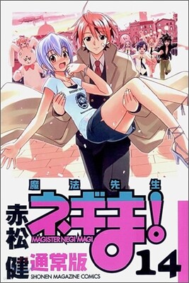 魔法先生ネギま! 14
