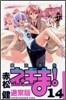 魔法先生ネギま! 14