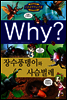 Why? 와이 장수풍뎅이와 사슴벌레