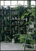 Living with plants
