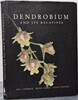 Dendrobium and Its Relatives 덴드로비움 속 난초와 그 근연종들의 생태, 재배법, 형태 특징