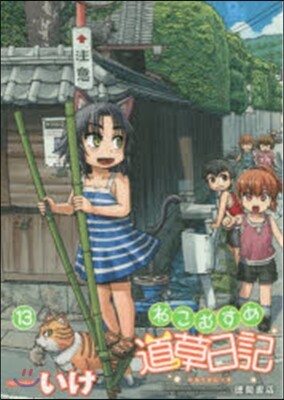 ねこむすめ道草日記 13
