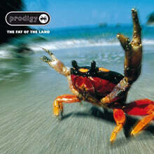 The Prodigy (프로디지) - 3집 The Fat of the Land