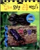 입체모형 곤충백과 : 사슴벌레