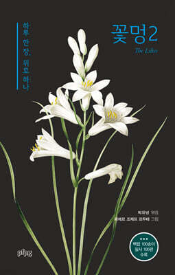 꽃멍2