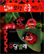 입체모형 곤충백과 : 무당벌레