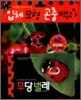 입체모형 곤충백과 : 무당벌레
