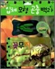 입체모형 곤충백과 : 꽃무지