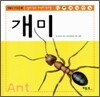 개미
