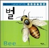 벌