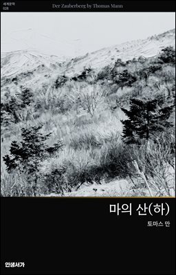 마의 산 (하)