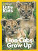 National Geographic Little Kids (격월간) : 2026년 09/10월