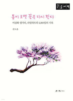 봄이 오면 꽃은 다시 핀다 (큰글자책)