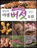 한국의 야생버섯 도감 불분명
