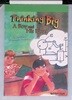 Thinking Big, Advanced Reader Grade 6