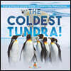 The Coldest Tundra! | Arctic & Antarctica Animal Wildlife | Children's Polar Regions Books