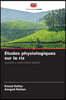 Etudes physiologiques sur le riz