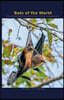 Bats of the World