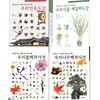 어린이가 정말 알아야 할 세밀화도감 백과사전 4권 세트/우리식물세밀화도감.우리풀백과사전.우리나무백과사전.우리민속도감