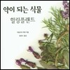 약이되는 식물 힐링플랜트