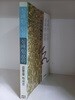 실패한 인생 실패한 문학-초판