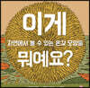 이게 뭐예요?