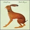 Vashti Bunyan - Lookaftering