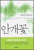안개꽃