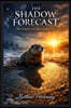 The Shadow Forecast