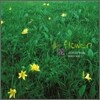 전수연 2집 - 꽃 花 flower