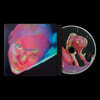Fontaines D.C (폰테인스 D.C.) - 5집 Dopamine Chamber