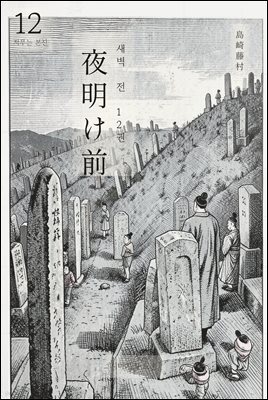 동트기 전 12권