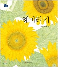 해바라기
