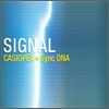 Casiopea (카시오페아) - Signal: Casiopea + Sync DNA
