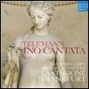 Michael Schneider 텔레만: 칸타타 `이노`, 관현악 모음곡 (Telemann: Ino Cantata, Ouverture in D major)