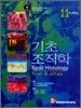 기초조직학