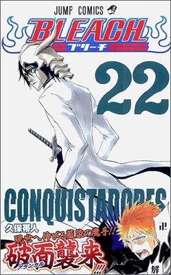 BLEACH ブリ-チ 22