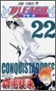 BLEACH ブリ-チ 22