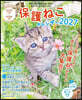 ’27 保護ねこカレンダ-