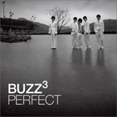 버즈 (Buzz) 3집 - Perfect