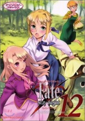 Fate/stay night 12